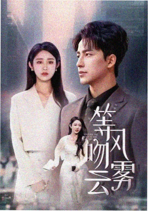 都市回声电视剧高清在线观看